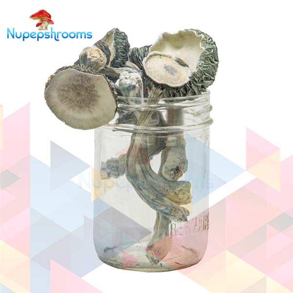 import placeholder for 65504