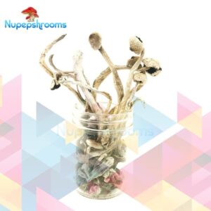 import placeholder for 33356