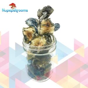 import placeholder for 70741