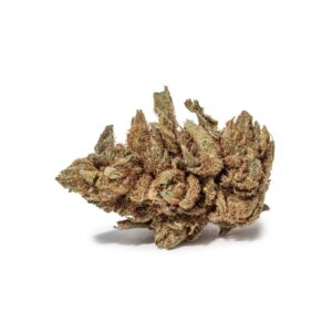 import placeholder for 170176