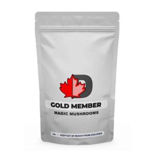 import placeholder for 561