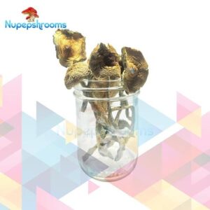 import placeholder for 63469