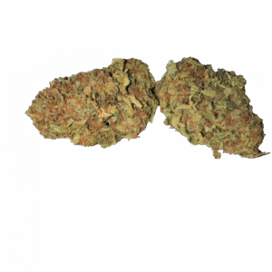 import placeholder for 149239