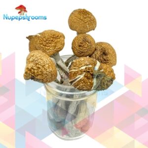 import placeholder for 50021