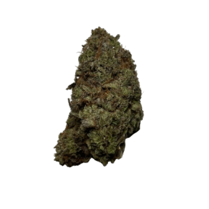 import placeholder for 150257