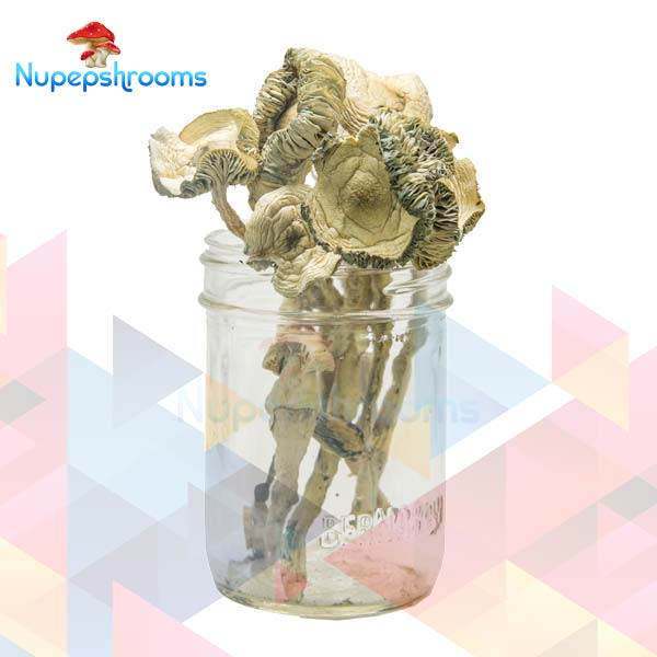 import placeholder for 65474