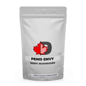 import placeholder for 595