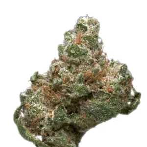 import placeholder for 194607