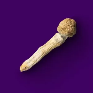 thrasher 300x300.jpg