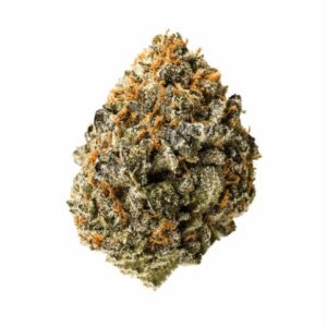 import placeholder for 194630