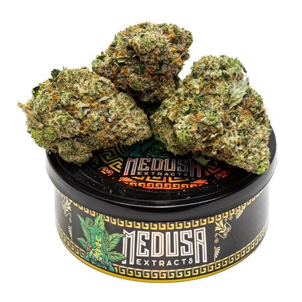 import placeholder for 56955