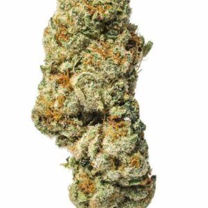 import placeholder for 194353