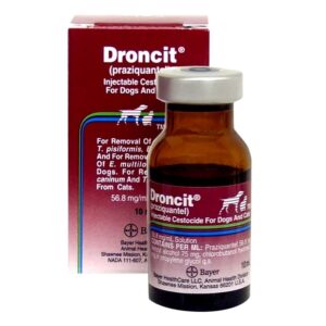 Droncit