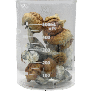 Blue Pulaski Magic Mushrooms