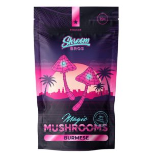 Burmese magic mushrooms
