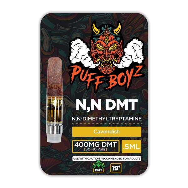 Puff Boyz -NN DMT .5ML (400MG) - Image 6